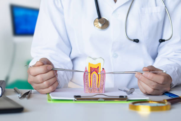 Best Emergency Dental Care for Abscessed Tooth in Robie Creek, ID